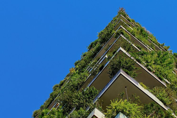 From rooftop gardens to vertical farms
