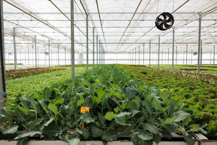 How-to reduce indoor farm operating costs