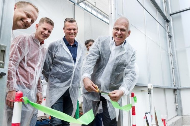 Greenhouse horti is taking an important step in energy transition