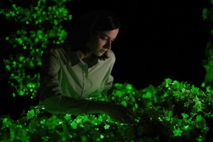Glow-in-the-dark petunias are just the beginning