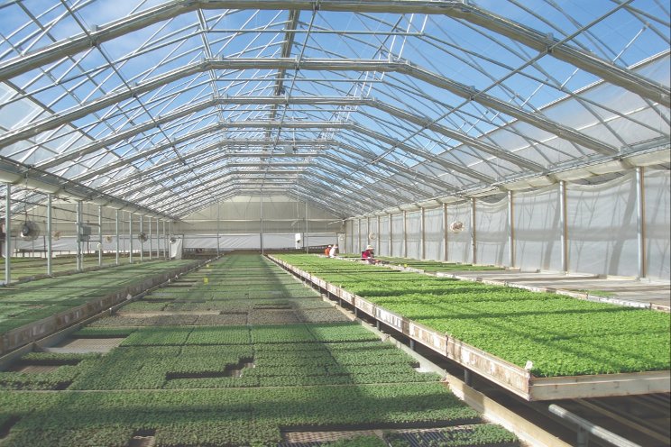 New greenhouse fabric, Claro, introduced as ECP’S breakthrough