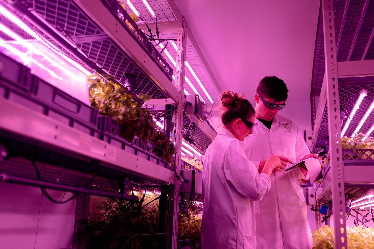 VF tech could bring indigenous plants into the mainstream