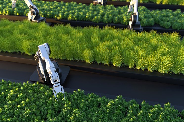 Exploring the future of agriculture: A deep dive into robots