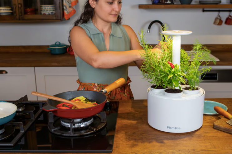 Plantone automates indoor growing of year-round fresh greens