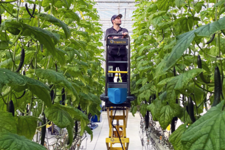 Human+Machine: the key to success in the greenhouse