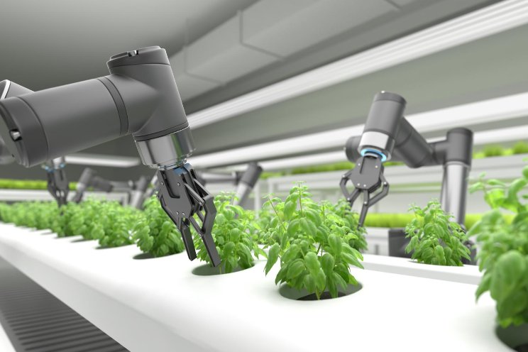 Increasing crop sustainability with AI Increasing crop sustainability with AI