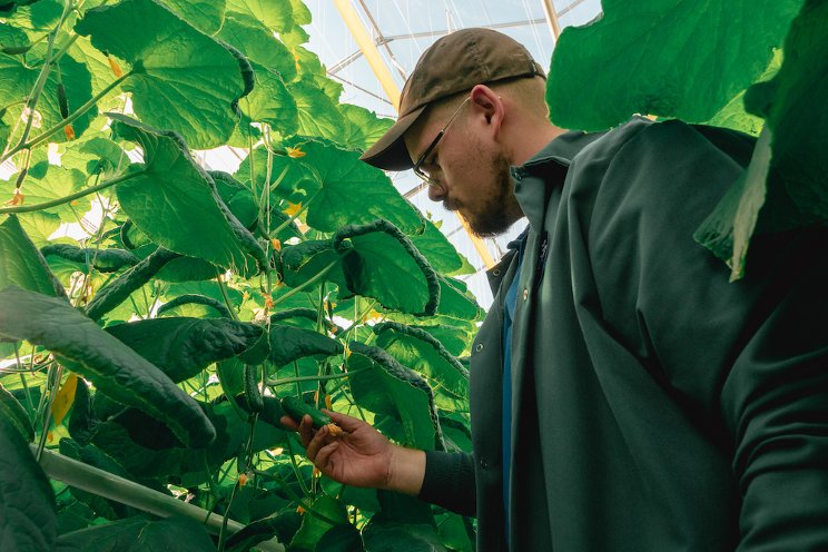 Pure Flavor explores the ‘Power of a Greenhouse’ Pure Flavor explores the ‘Power of a Greenhouse’