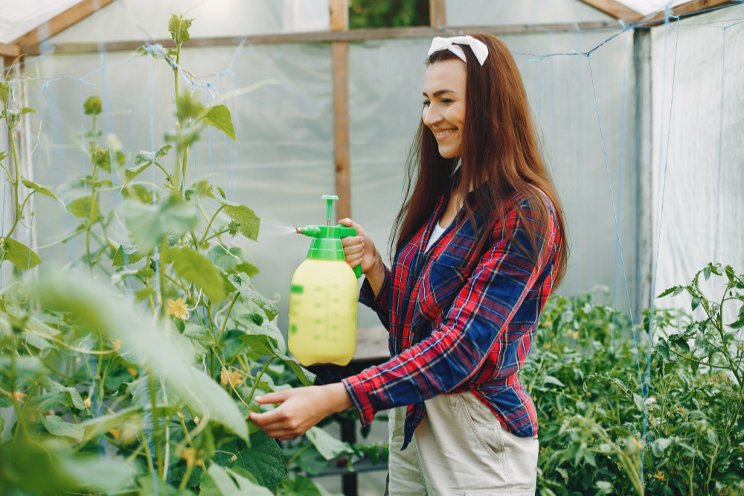 Dialing in on greenhouse pest control