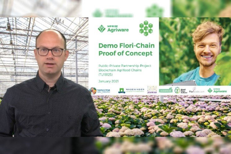 How blockchain can benefit the floriculture industry? How blockchain can benefit the floriculture industry?