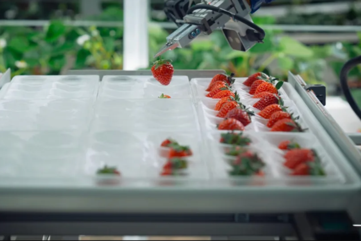 Oishii, VF startup, closes its Series B at $150M Oishii, VF startup, closes its Series B at $150M