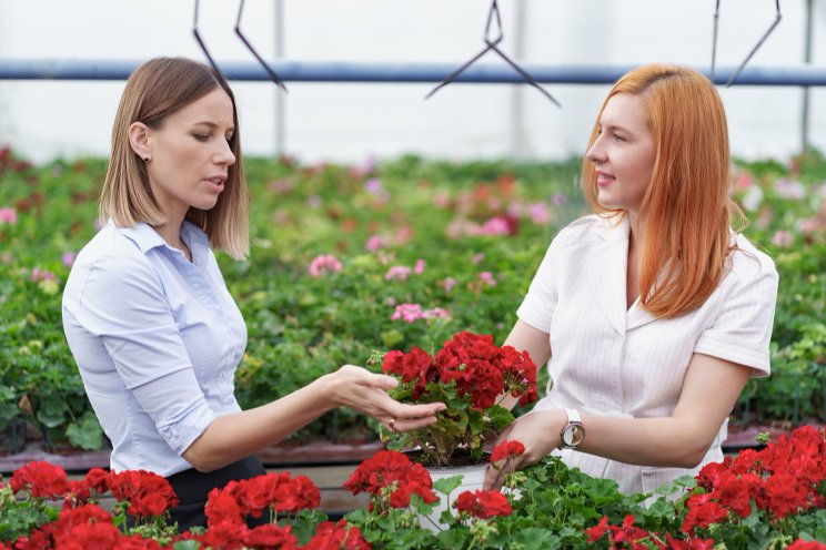 How to improve forecasting at your greenhouse business
