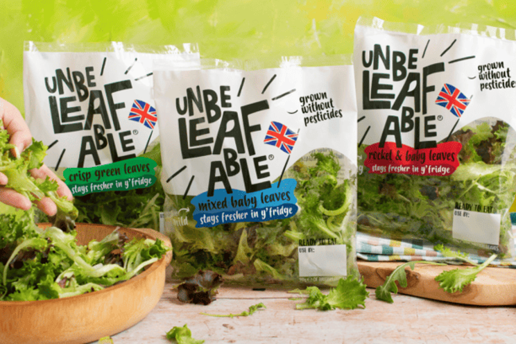 GrowUp Farms’ VF debuts ready-to-eat salads in Tesco