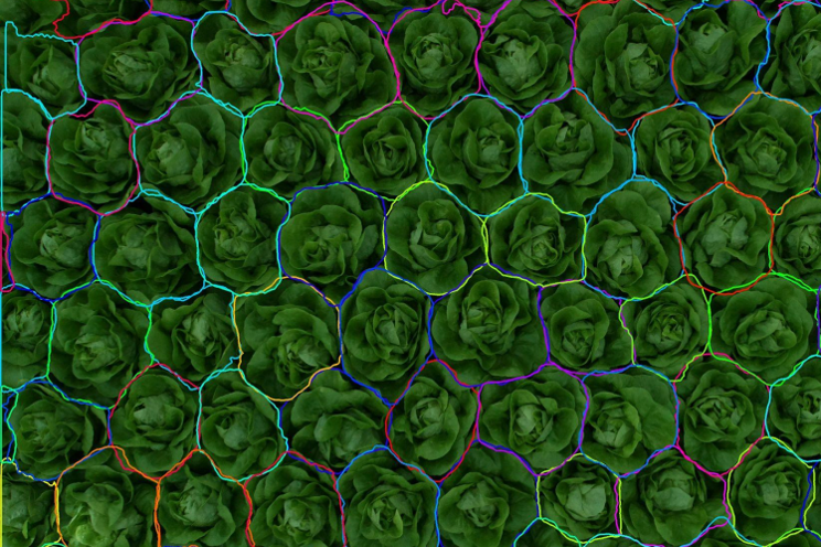 Fully automated crop monitoring by greenhouse drones Fully automated crop monitoring by greenhouse drones
