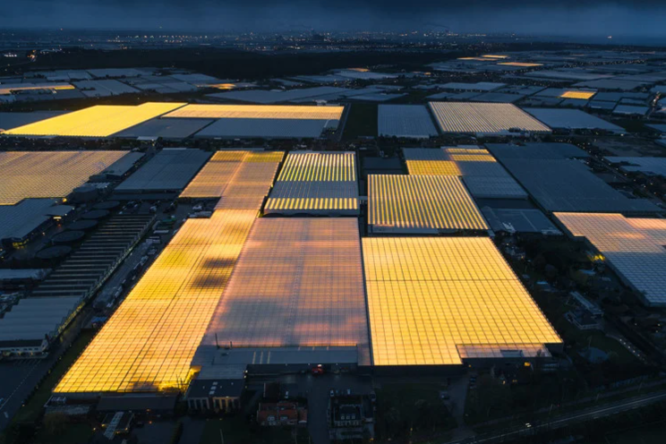 The case for investing in greenhouses in the U.S. The case for investing in greenhouses in the U.S.