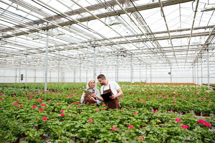 New initiative to help horti producers reduce energy costs