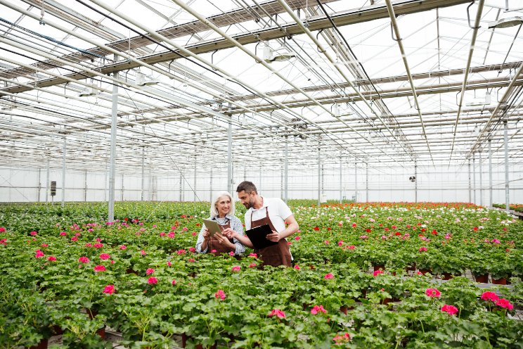 New initiative to help horti producers reduce energy costs New initiative to help horti producers reduce energy costs