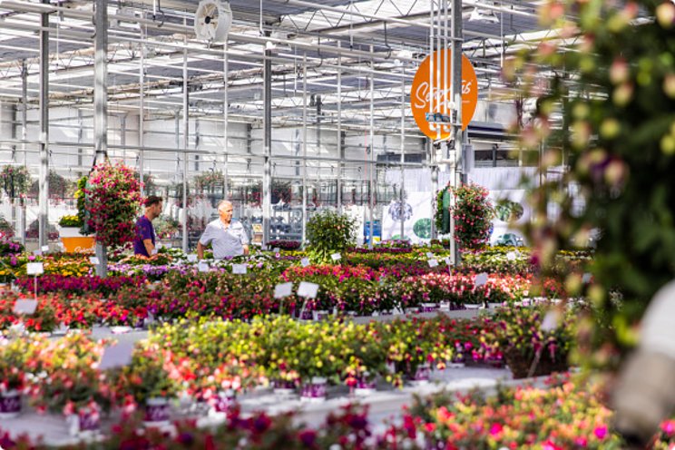 FlowerTrials reaffirms its global essence