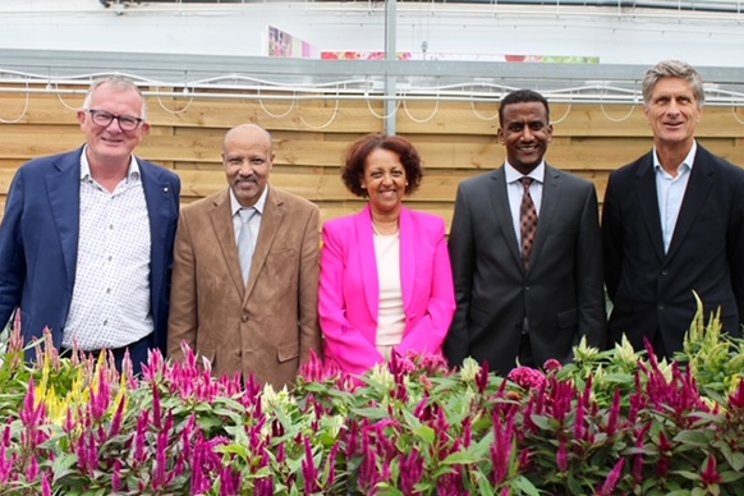 Ethiopia’s Ambassador visits plant breeder Beekenkamp