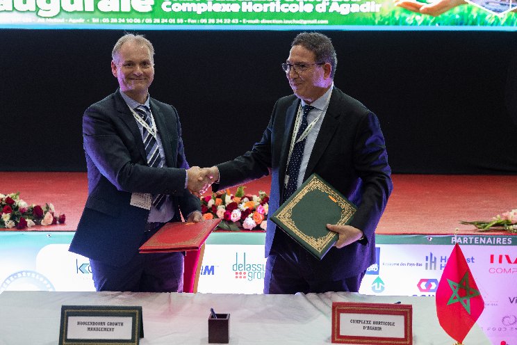 Hoogendoorn will reshape Moroccan horticulture Hoogendoorn will reshape Moroccan horticulture
