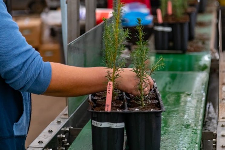 Navigating seasonal safety risks in the horti industry Navigating seasonal safety risks in the horti industry