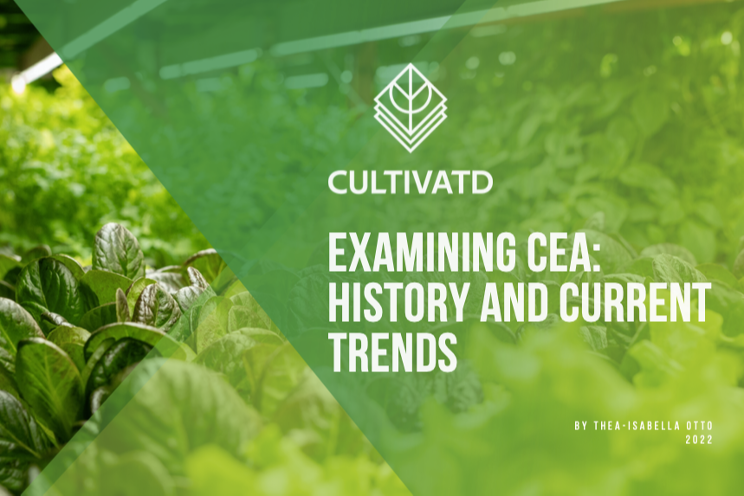 Examining CEA: History and current trends