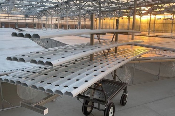 An update on protected agri tech for vegetable growing An update on protected agri tech for vegetable growing