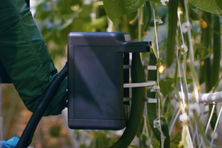 Robotic cucumber harvester designed to help growers