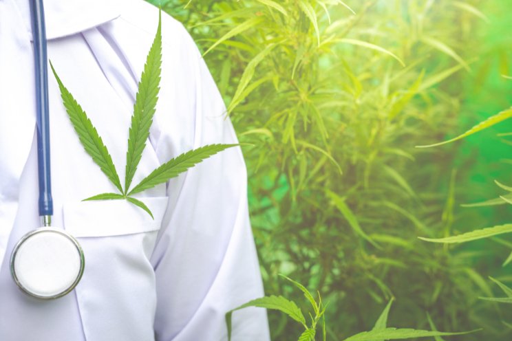 Cannabis caregivers and large grow sites will soon be illegal in Hawaii Cannabis caregivers and large grow sites will soon be illegal in Hawaii