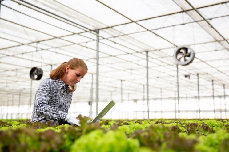 Who benefits from online advertising in the horti industry?