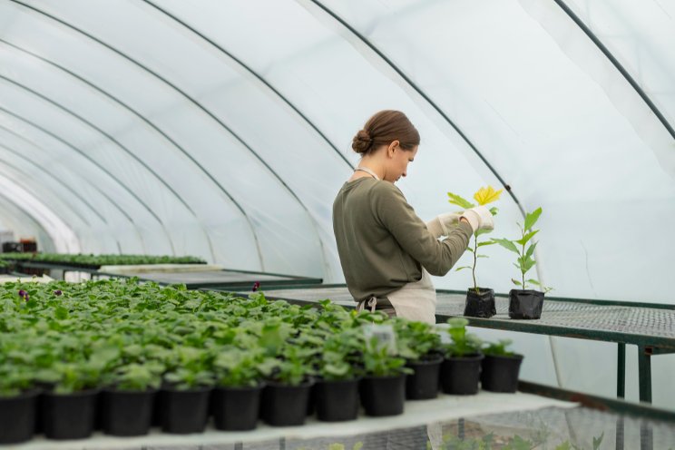 Cinis Fertilizer signs agreement with BASF