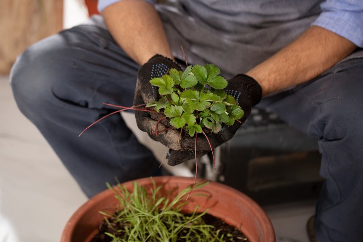 Indoor farming isn't just for the rich Indoor farming isn't just for the rich