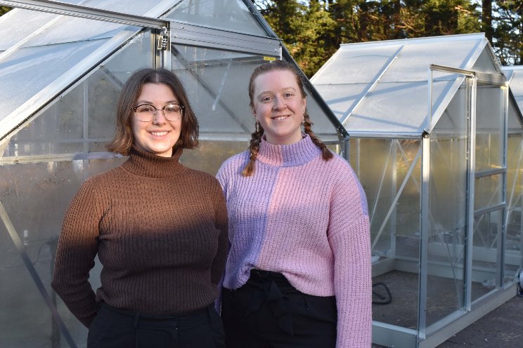 LettUs Grow collaborates with greenhouse shading tech experts, Albotherm