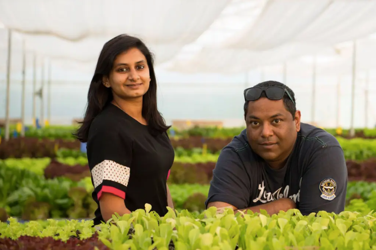 Indian grower empowers female microentrepreneurs Indian grower empowers female microentrepreneurs