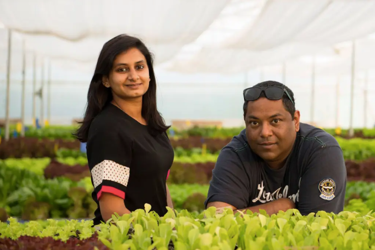 Indian grower empowers female microentrepreneurs