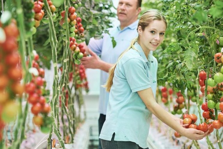 How can we keep working in horticulture enjoyable?