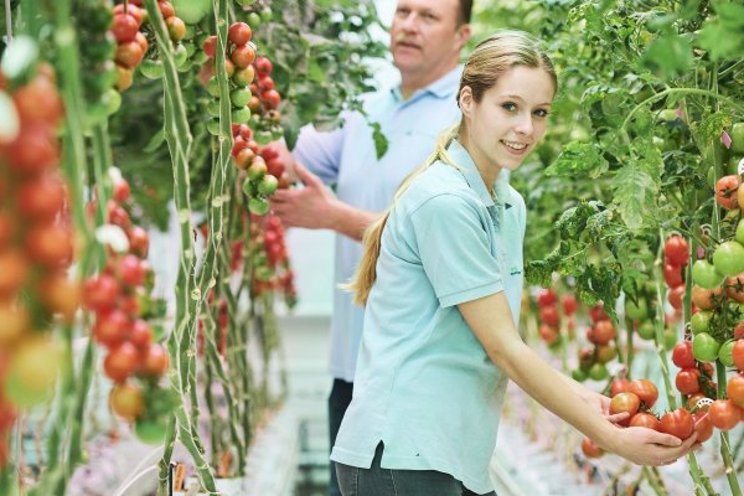 How can we keep working in horticulture enjoyable? How can we keep working in horticulture enjoyable?