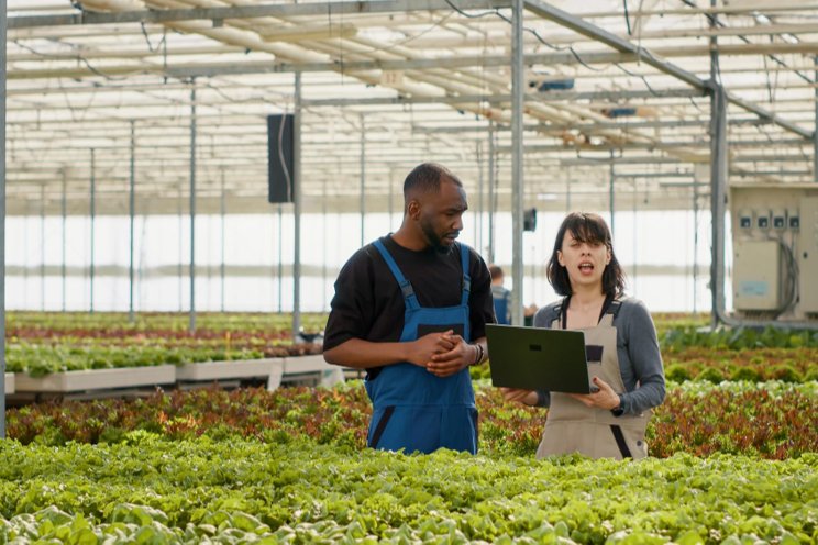 Lettuce and leafy greens 201 Lettuce and leafy greens 201