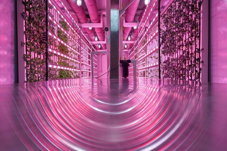 Could container farm be the right choice? Could container farm be the right choice?
