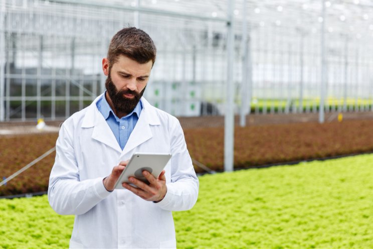 How to get the most out of your greenhouse forecast How to get the most out of your greenhouse forecast