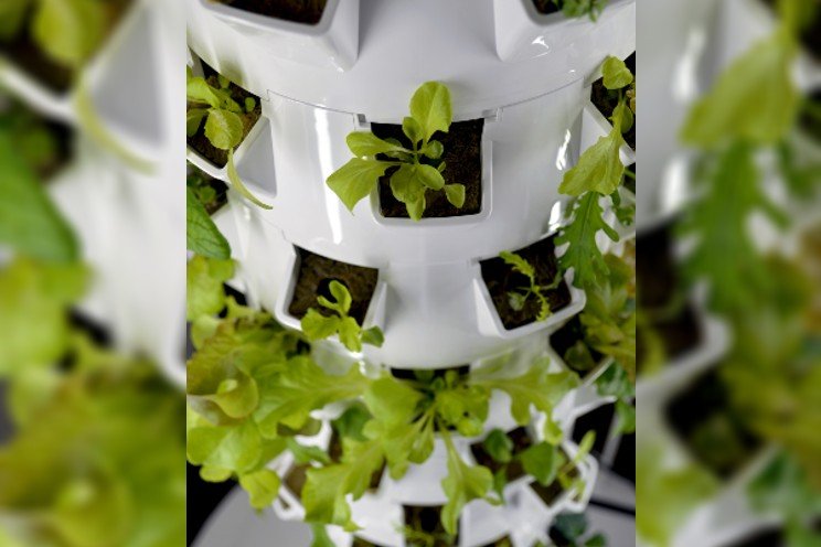 Renewably powered aeroponic farms beat imports