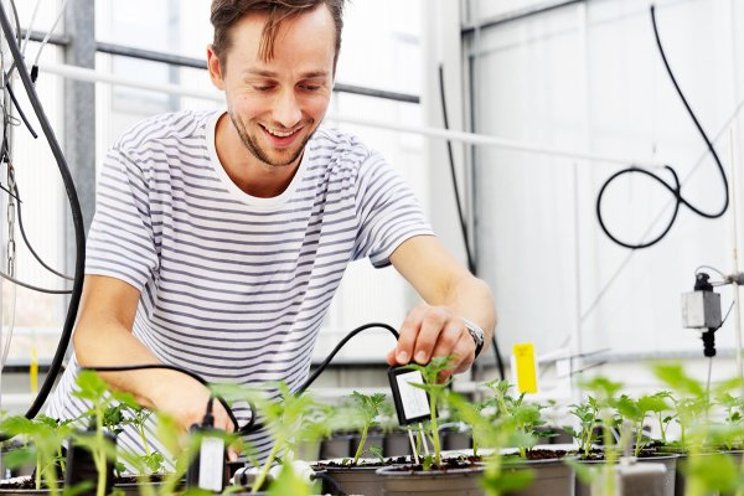 Teams tackle autonomous dwarf tomato cultivation Teams tackle autonomous dwarf tomato cultivation