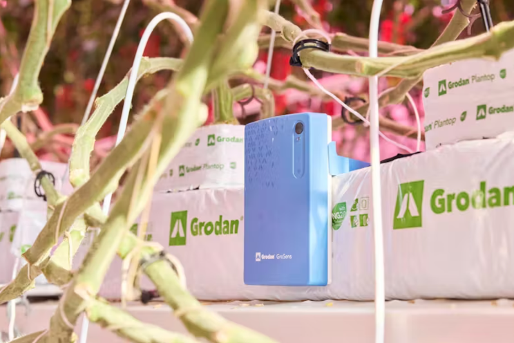 Another growing season for Grodan and Signify Another growing season for Grodan and Signify