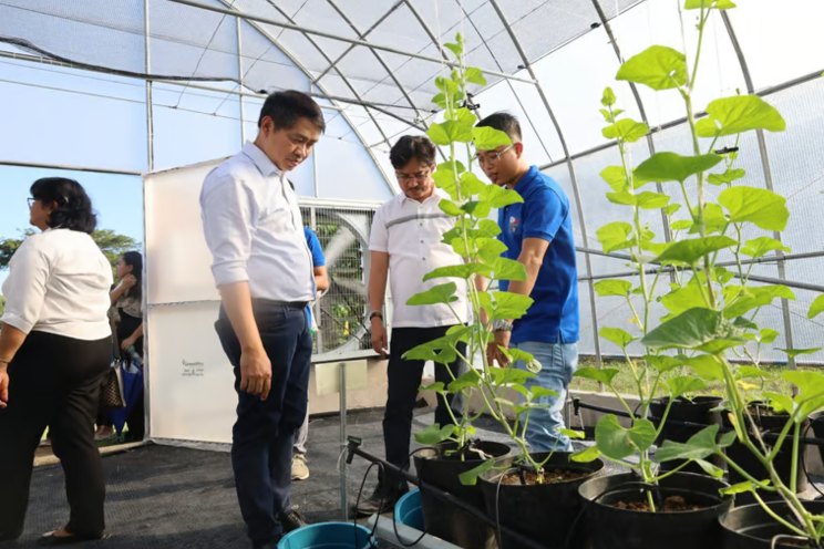 Korean-style smart greenhouse turned over to DA W. Visayas