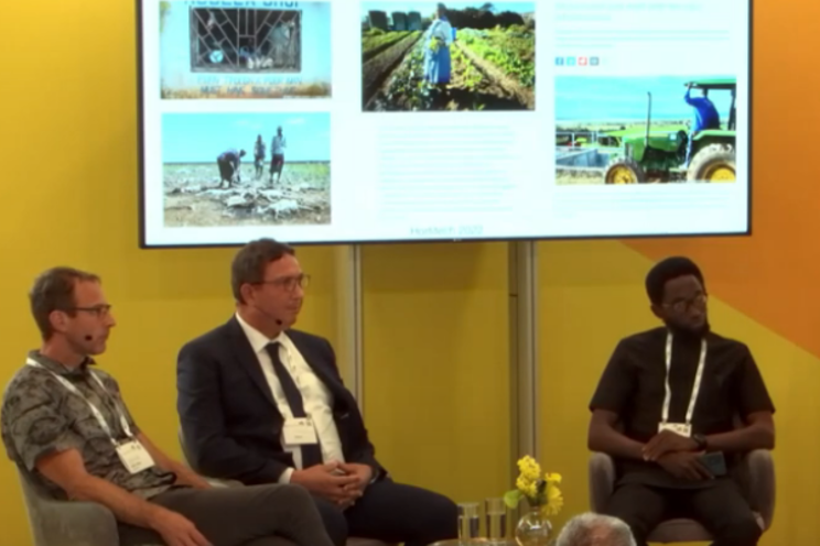 Protective cultivation and Dutch developments in Africa
