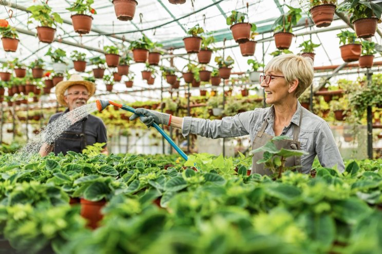 The irony of overwatering your plants