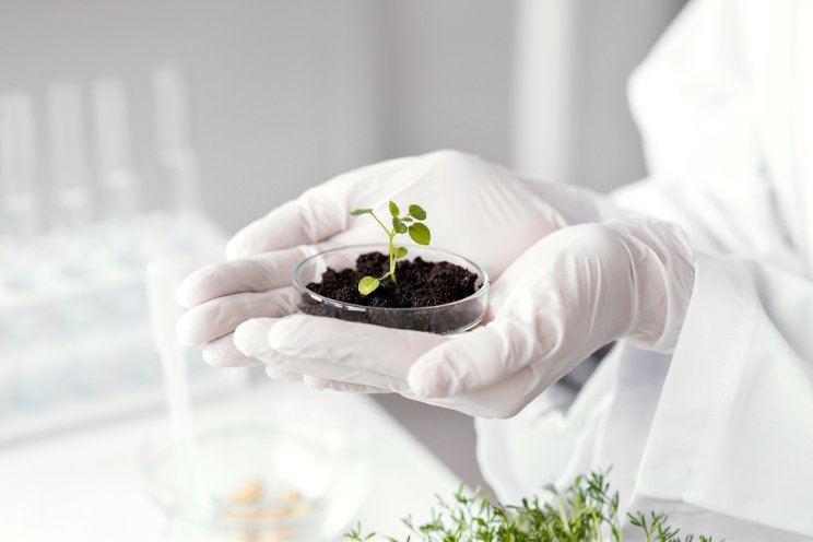 Investing in your plant health