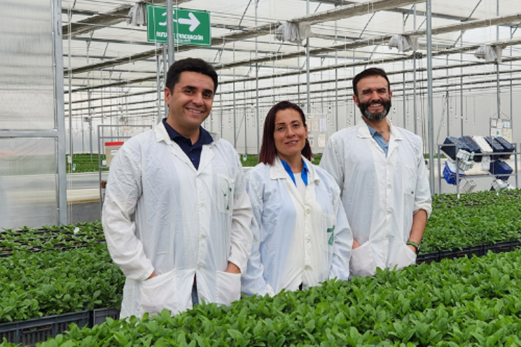 Darwin Colombia optimizes the climate of its greenhouses