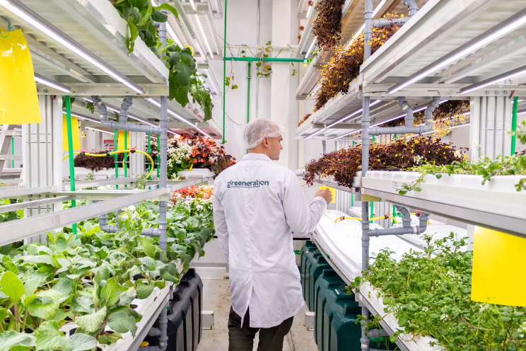 Greeneration's vertical flower farm supplying Dubai's fine dining sector Greeneration's vertical flower farm supplying Dubai's fine dining sector