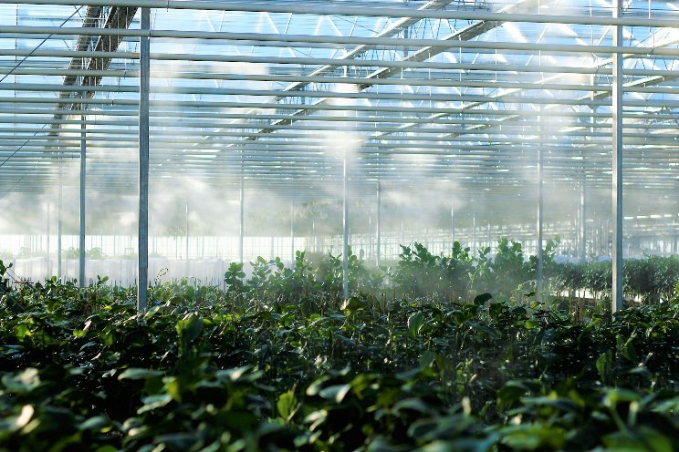 Saskatchewan revamps pest strategy Saskatchewan revamps pest strategy