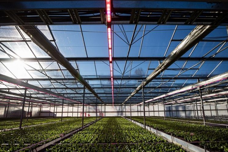 5 pieces of greenhouse equipment to boost productivity 5 pieces of greenhouse equipment to boost productivity